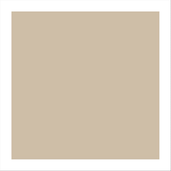 Emballages ingraissable 31x38cm naturel kraft - vendu par 1000 (PU 0,02€)