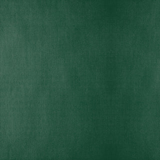 Nappes pliage M 48 g/m² 100x100 cm vert jaguar cellulose - vendu par 200 (PU 0,335€)