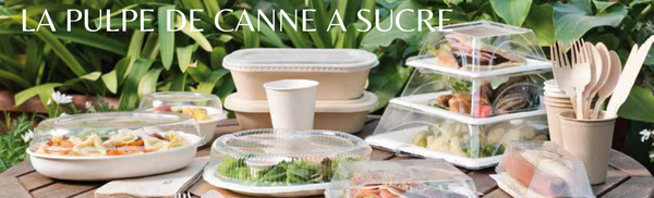 Emballage en fibre de canne à sucre : élégance naturelle et responsabilité