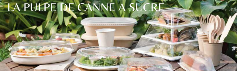 Emballage en fibre de canne à sucre : élégance naturelle et responsabilité