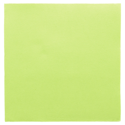 Serviettes pure ouate microgaufrées 2 points VERT 38x38 - carton de 1440