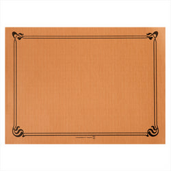 Sets de table 48 g/m² 31x43 cm havane cellulose - vendu par 2000 (PU 0,039€)