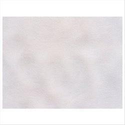 Sets de table 'spunbond' 60 g/m² 30x40 cm blanc plastique PP - vendu par 800 (PU 0,059€)