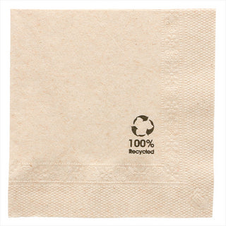 Serviettes ecolabel 2 plis 18g/m² 20x20cm naturel ouate recyclée - vendu par 4800 (PU 0,01€)