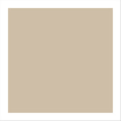 Emballages ingraissable 31x38cm naturel kraft - vendu par 1000 (PU 0,02€)