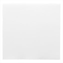 Serviettes ecolabel 'Ouate gaufrée (Double point)' 18g/m² 39x39cm blanc ouate - carton de 1200