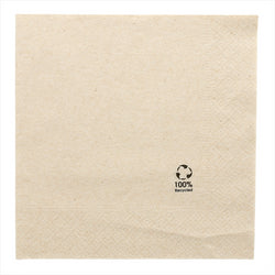 Serviettes ecolabel 2 plis 18g/m² 33x33cm naturel ouate recyclée - carton de 2400