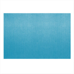 SETS DE TABLE 'DRY COTTON' 55 G/M2 30x40 CM TURQUOISE AIRLAID - vendu par 800 / 194.86