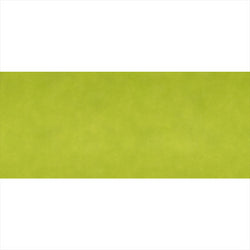 Tête à tête pliage 1/2 'spunbond' 60 g/m² 40x120 cm lime plastique PP - vendu par 400 (PU 0,2€)