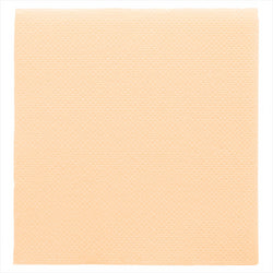 Serviettes ecolabel 'Ouate gaufrée (Double point)' 18g/m² 20x20cm CRÈME ouate - carton de 2400