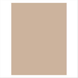 Emballages pour burgers 28x34cm naturel - vendu par 1000 (PU 0,024€)