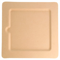 Assiettes carrées compostable et biodegradable 20x20x1 cm naturel canne à sucre - carton de 200