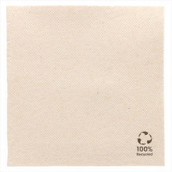 Serviettes recyclés ecolabel 'Ouate gaufrée (Double point)' 19g/m² 25x25cm naturel ouate recyclée - carton de 3000