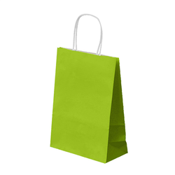 Sac papier kraft avec anses 20+10x29cm vert anis cellulose - carton de 250