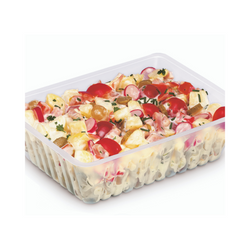 Barquette frite caissipack plastique transparent 750 ml vendu par 1250 - b750t