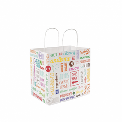 Sac papier kraft avec anses 'parole' 26+17x24cm blanc cellulose - carton de 250